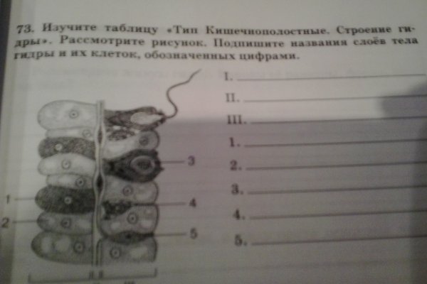 Ссылка на кракен в браузере